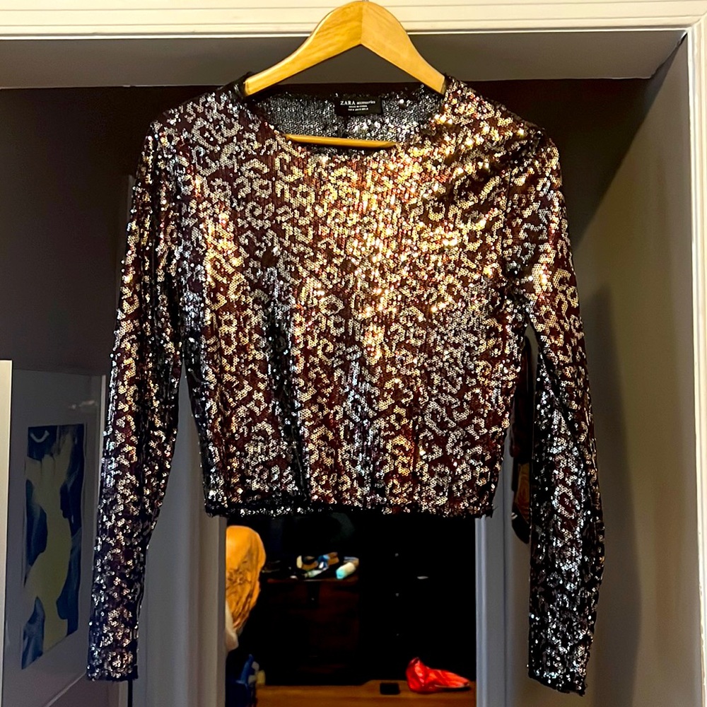 Zara Dark Brown and Gold Animal Print Sequin Two Pc Set - Size M